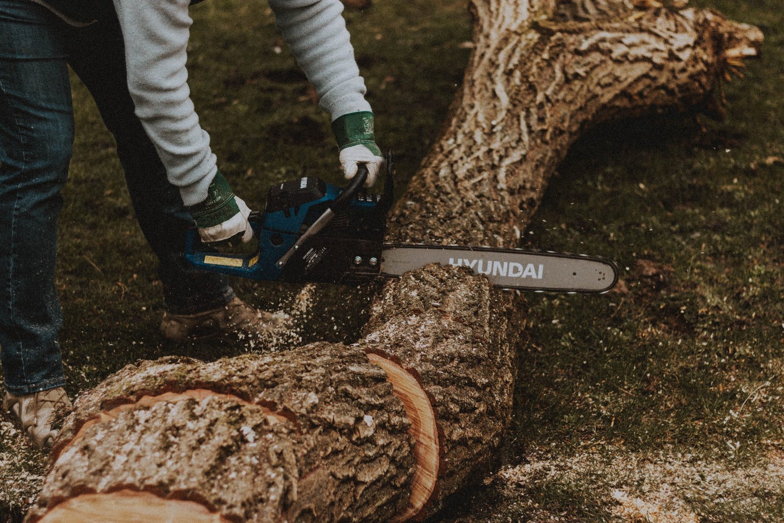 Ard'Aisne Elagage À Propos mathias reding DmtBzn Y2eY unsplash 1 scaled